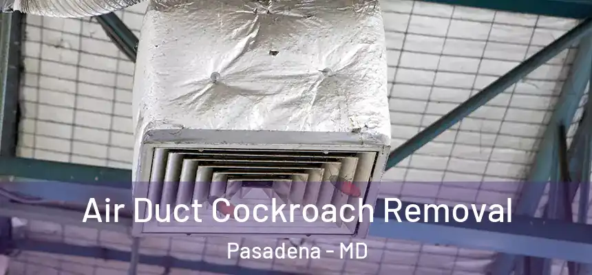 Air Duct Cockroach Removal Pasadena - MD