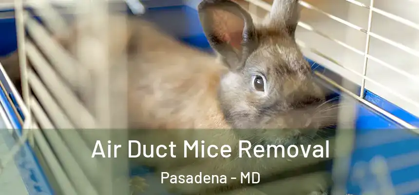 Air Duct Mice Removal Pasadena - MD
