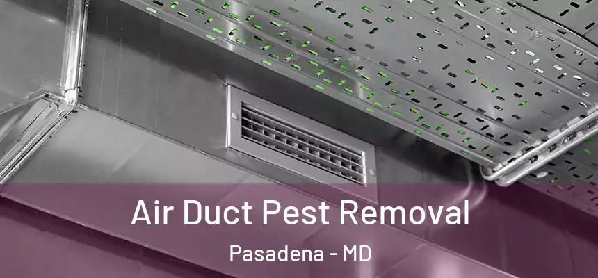 Air Duct Pest Removal Pasadena - MD