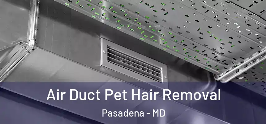 Air Duct Pet Hair Removal Pasadena - MD