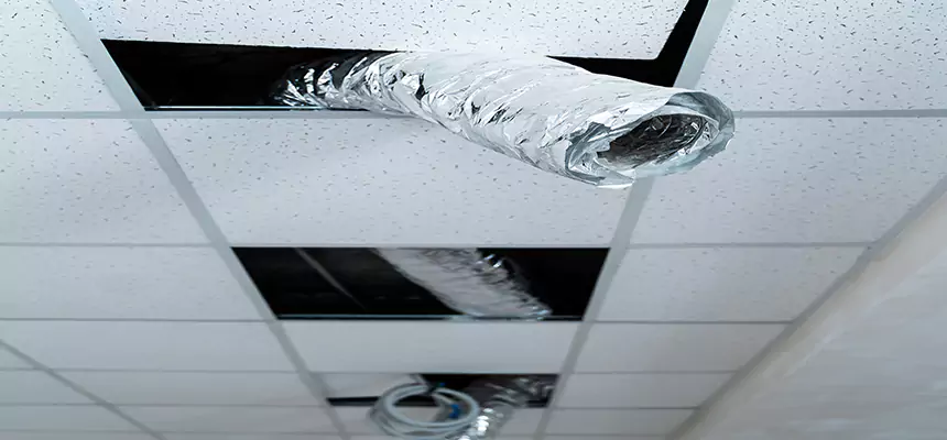 Our Air Duct Pet Hair Removal Services in Pasadena, MD