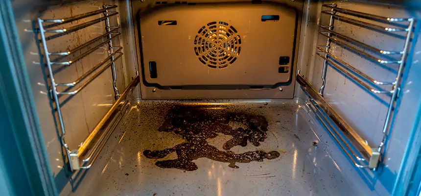 Our Dryer Vent Mold Cleaning Services in Pasadena, MD