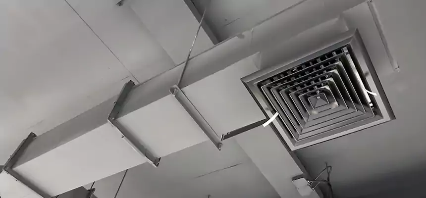 Our Rodent Droppings In Vents Services in Pasadena, MD