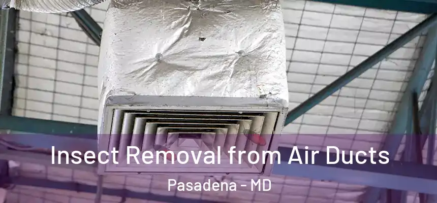  Insect Removal from Air Ducts Pasadena - MD