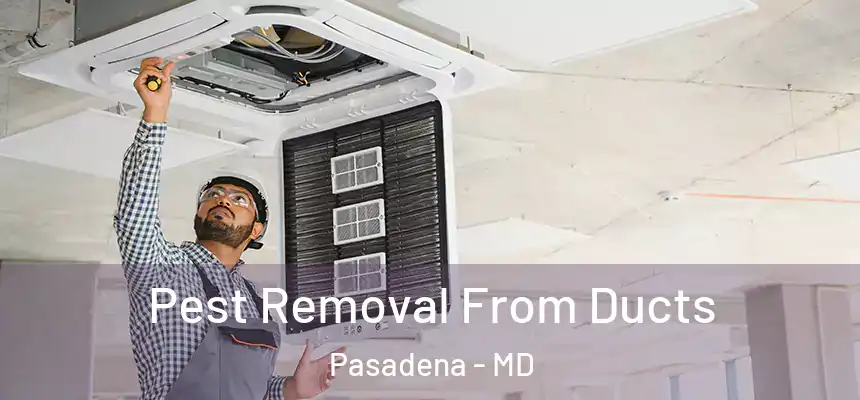  Pest Removal From Ducts Pasadena - MD