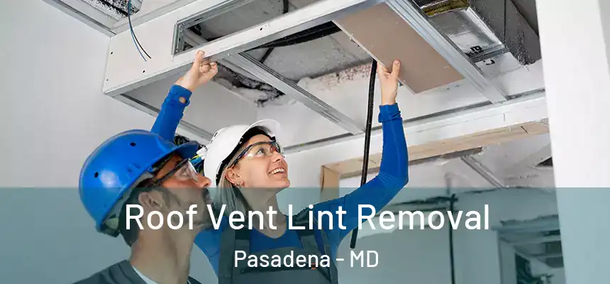 Roof Vent Lint Removal Pasadena - MD