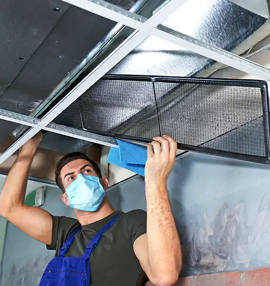 Professional Air Duct Pollen Cleaning in Pasadena, MD