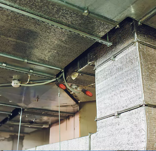 Why Homeowners & Businesses Trust Us in Pasadena, MD?