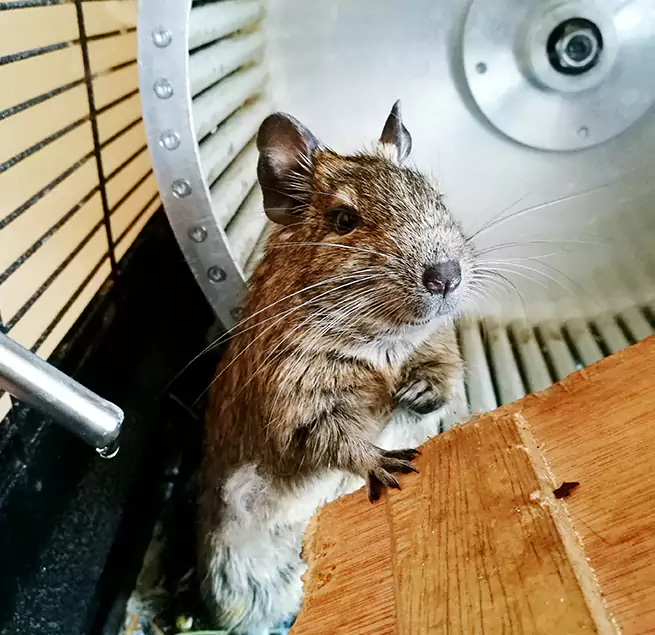 Why Homeowners & Businesses Trust Us Pasadena, MD?