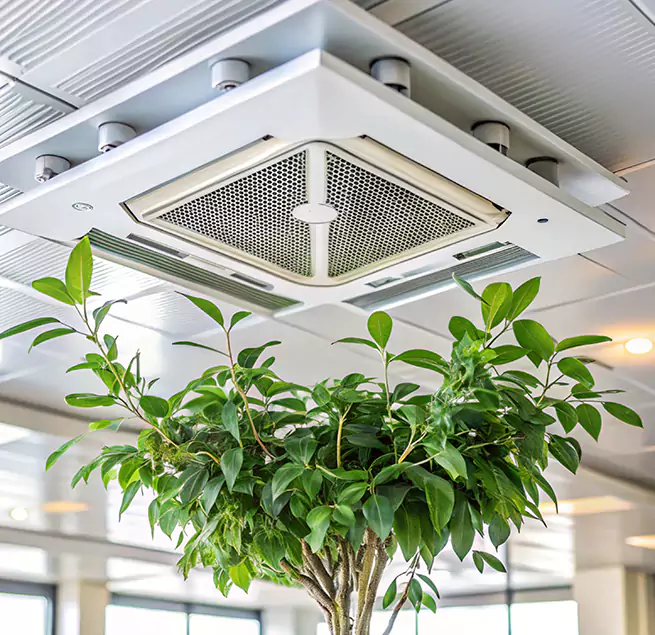 Why Homeowners & Businesses Trust Us in Pasadena, MD