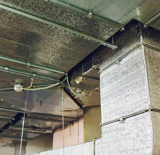 Why Homeowners & Businesses Trust Us in Pasadena, MD?